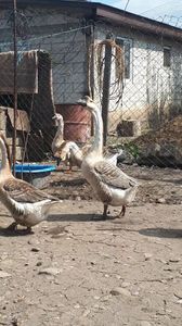 VideoCapture_20190330-194401