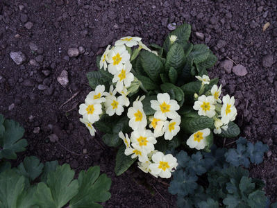 apr.2019
