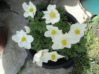 15 apr.2019