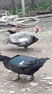 VideoCapture_20190414-203741