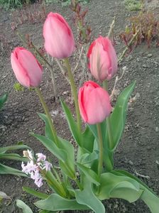 20190418_181850 (1)