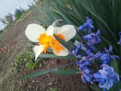 20190418_181901 (1)