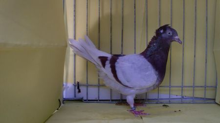 CIMG2240
