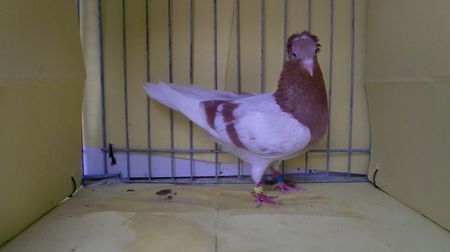 CIMG2268