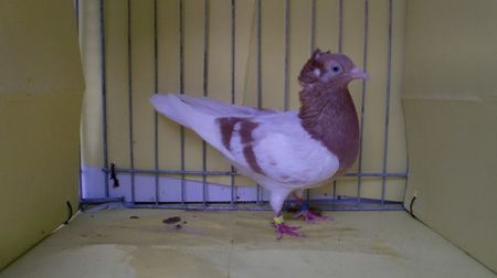 CIMG2269