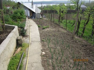 Grădinița de legume