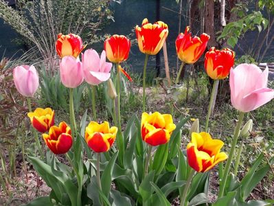 26.04 cu mult soare