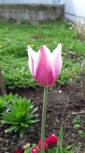 IMG-20190430-WA0004