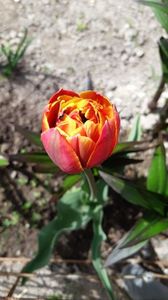 IMG-20190429-WA0032
