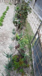 IMG-20190429-WA0034