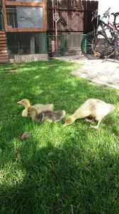 IMG-20190501-WA0004