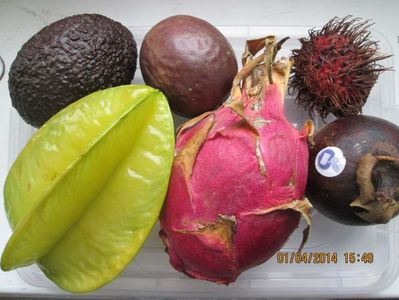 ; Avocado rosu, Maracuja, Rambutan (sus)
Carambola, Pitaya, Mangostan (jos)
