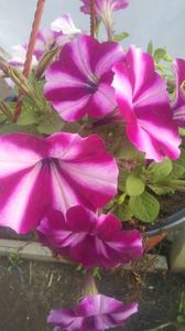 20190418_183602_Burst01