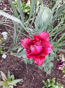 20190419_124432(0)