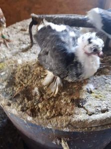 received_1132622703583024