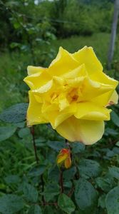 received_584232658754159