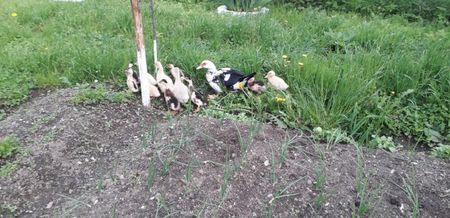 20190517_183026(0)