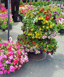 20190518_130610 (4)