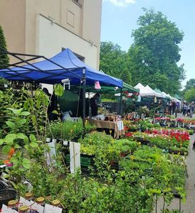 20190518_115716 (3)
