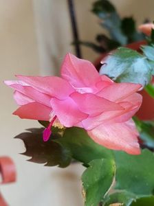 thumbnail (63)