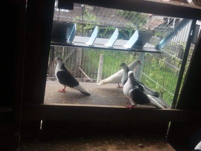 received_367744447212844