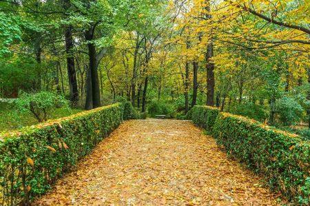 Montaj fototapet Bucuresti, ablo.ro (77)