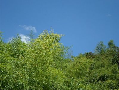Montaj fototapet Bucuresti, ablo.ro (103)