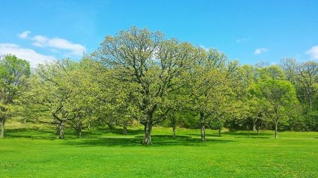 Montaj fototapet Bucuresti, ablo.ro (116)