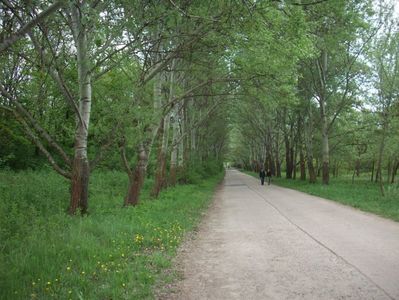 Montaj fototapet Bucuresti, ablo.ro (234)