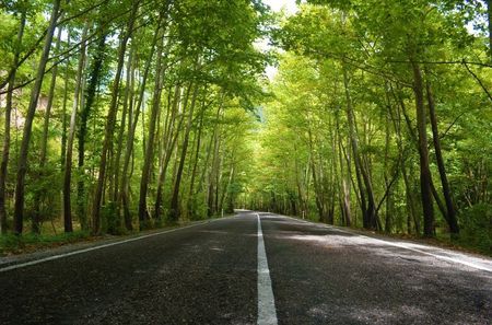 Montaj fototapet Bucuresti, ablo.ro (238)