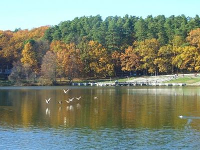 Montaj fototapet Bucuresti, ablo.ro (270)