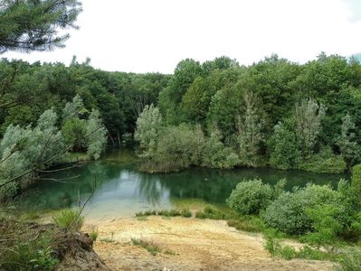 Montaj fototapet Bucuresti, ablo.ro (274)