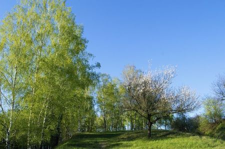 Montaj fototapet Bucuresti, ablo.ro (289)