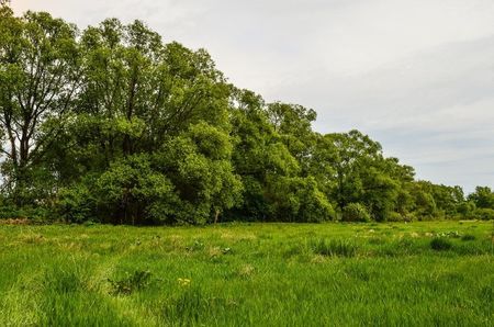Montaj fototapet Bucuresti, ablo.ro (304)