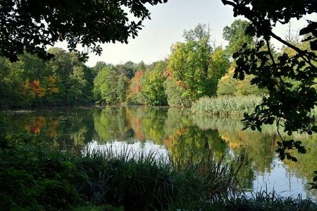 Montaj fototapet Bucuresti, ablo.ro (312)