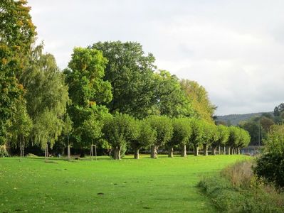 Montaj fototapet Bucuresti, ablo.ro (331)