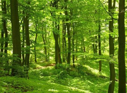 Montaj fototapet Bucuresti, ablo.ro (332)