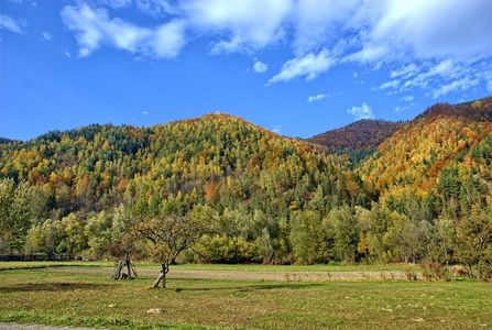 Montaj fototapet Bucuresti, ablo.ro (339)