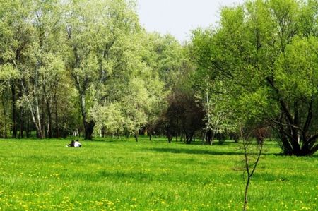 Montaj fototapet Bucuresti, ablo.ro (341)