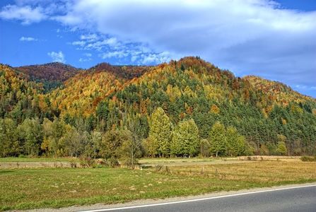 Montaj fototapet Bucuresti, ablo.ro (346)