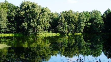 Montaj fototapet Bucuresti, ablo.ro (357)