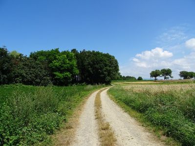 Montaj fototapet Bucuresti, ablo.ro (377)