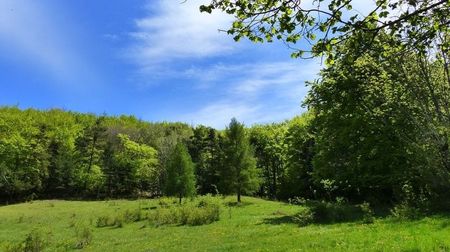 Montaj fototapet Bucuresti, ablo.ro (452)