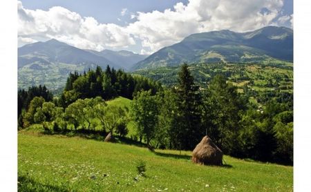 Montaj fototapet Bucuresti, ablo.ro (475)