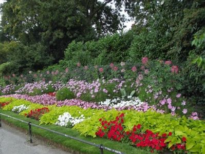 Montaj fototapet Bucuresti, ablo.ro (555)
