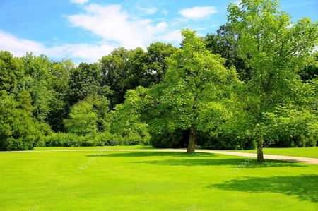 Montaj fototapet Bucuresti, ablo.ro (616)