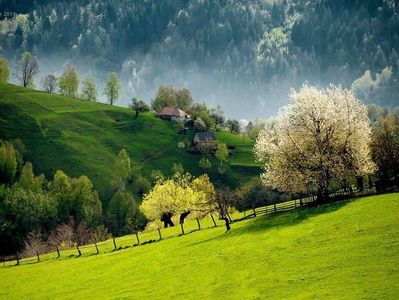 Montaj fototapet Bucuresti, ablo.ro (685)