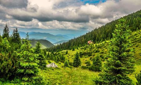 Montaj fototapet Bucuresti, ablo.ro (754)