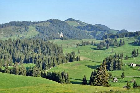 Montaj fototapet Bucuresti, ablo.ro (758)