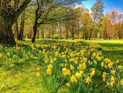 Montaj fototapet Bucuresti, ablo.ro (809)